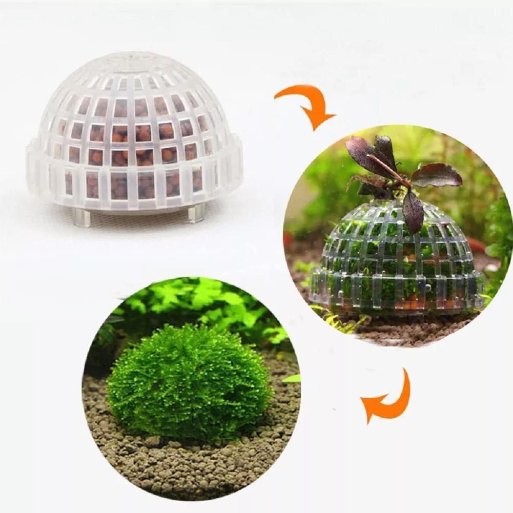 Planted Aquarium Models - ที่วางมอสบอลสำหรับตู้ปลา 1 ชิ้น อุปกรณ์ทำมอสบอล DIY สำหรับตู้ปลา