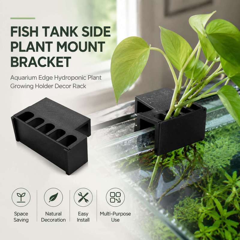Aquarium Plant Holder - ที่ยึดต้นไม้ข้างตู้ปลา ชั้นวางตกแต่งสำหรับปลูกพืชแบบไฮโดรโปนิกส์