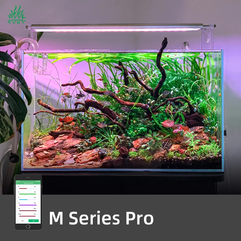Planted Aquarium For Sale - ไฟ LED สำหรับตู้ปลา ZXY Hot Sales