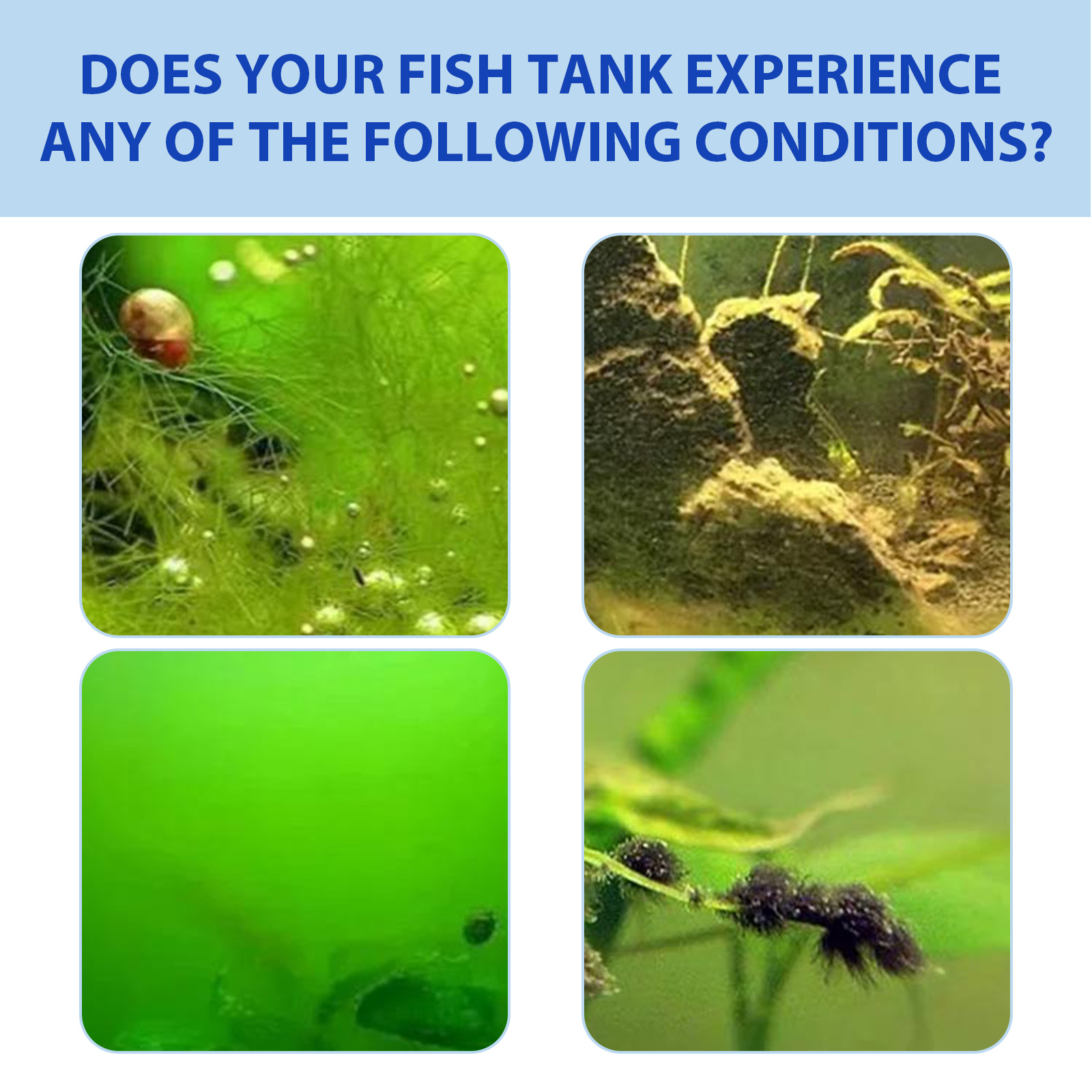 ผงควบคุมสาหร่ายในตู้ปลาทางชีวภ - Planted Aquarium Algae Control บทวิจารณ์และราคา