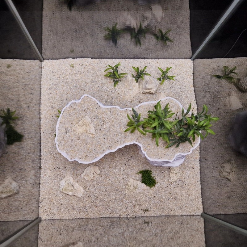 ตะกร้าปลูกต้นไม้แบบพิมพ์ 3 มิต - Aquarium Planted Tank Soil บทวิจารณ์และราคา