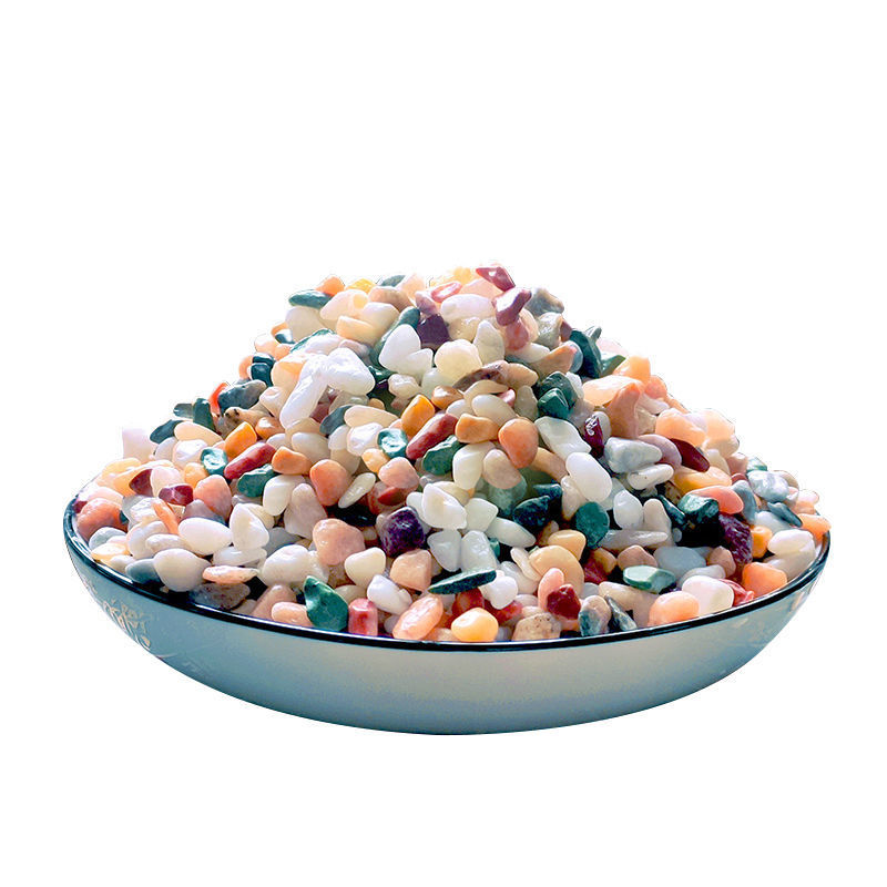 ทรายธรรมชาติสำหรับตู้ปลา 5 มม. - Planted Aquarium With Gravel บทวิจารณ์และราคา