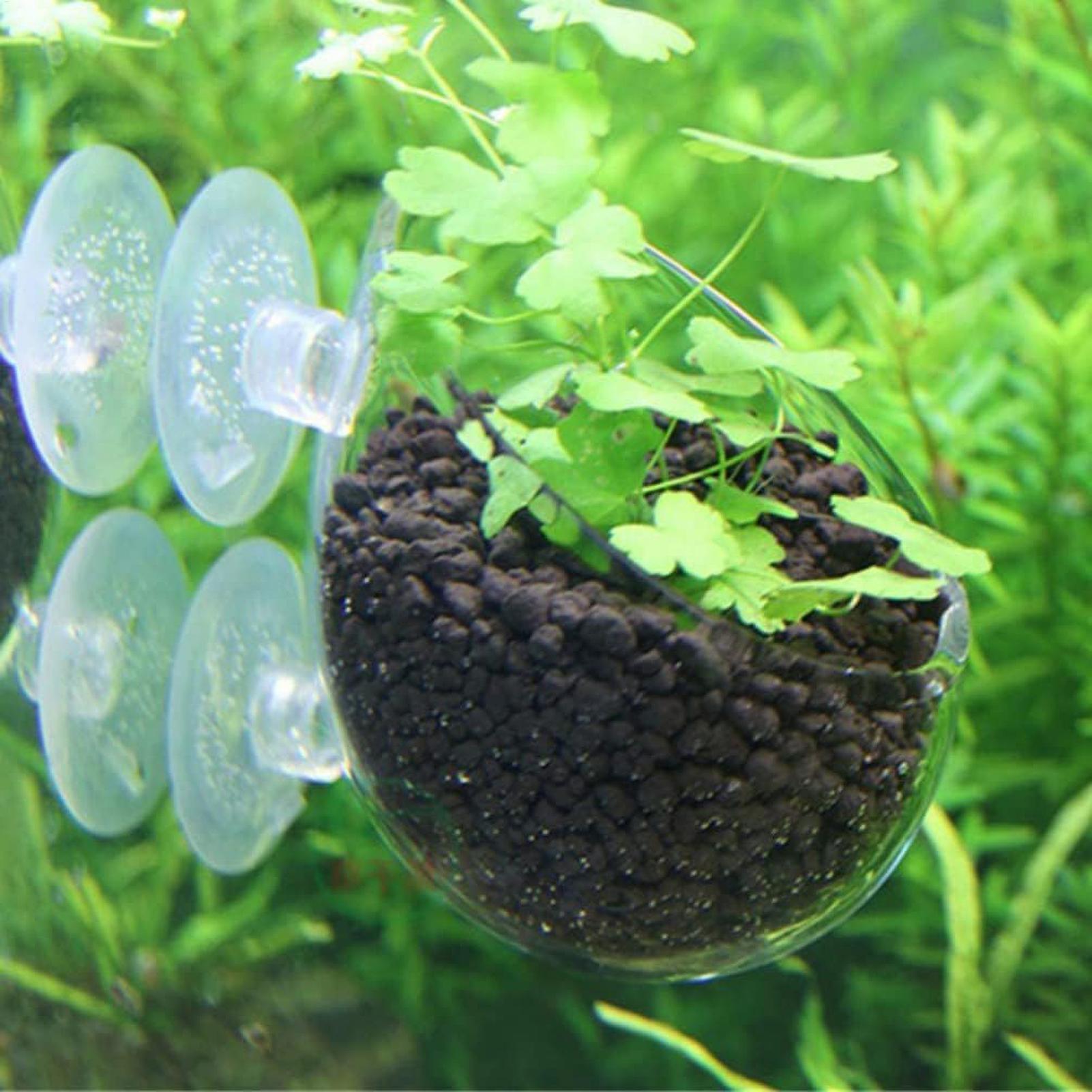 ที่วางต้นไม้ในตู้ปลา กระถางแก้ - Aquarium Plant Holder บทวิจารณ์และราคา