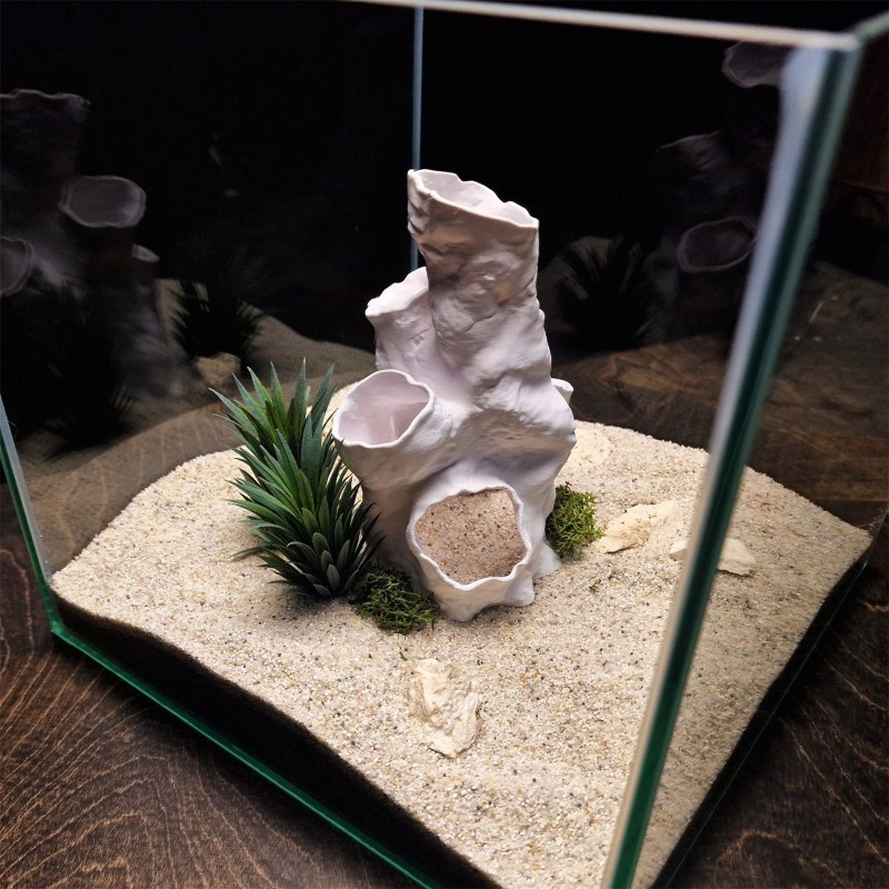ของตกแต่งตู้ปลา/ตู้เลี้ยงสัตว์ - Planted Aquarium For Sale บทวิจารณ์และราคา