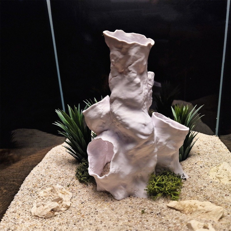 ของตกแต่งตู้ปลา/ตู้เลี้ยงสัตว์ - Planted Aquarium For Sale บทวิจารณ์และราคา