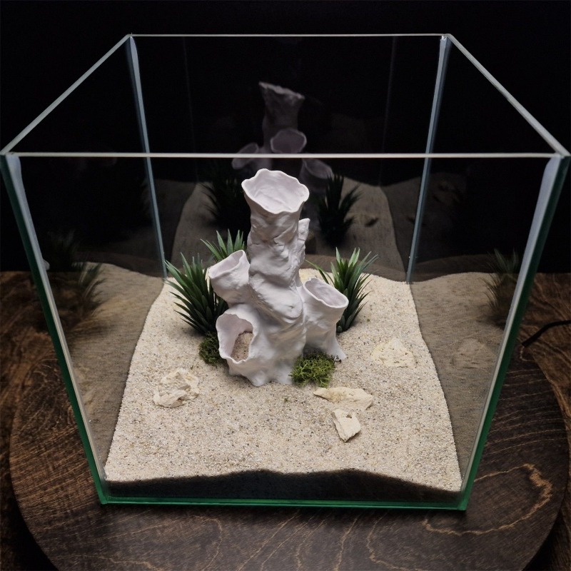 ของตกแต่งตู้ปลา/ตู้เลี้ยงสัตว์ - Planted Aquarium For Sale บทวิจารณ์และราคา