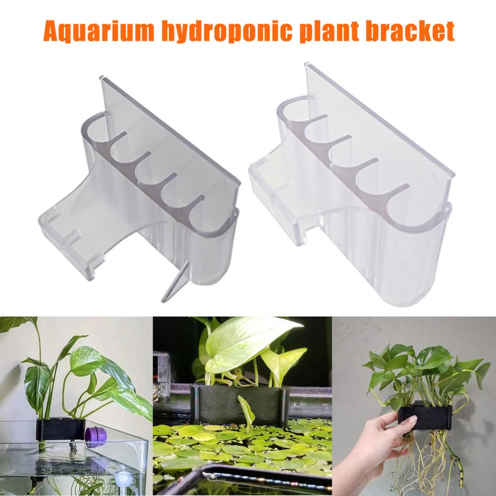 4.5/6.5 ซม.Aquarium Holder ถัง - Planted Aquarium With Fish บทวิจารณ์และราคา