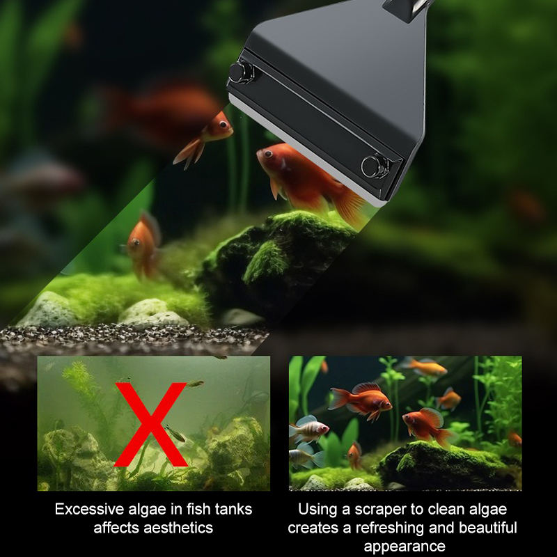 พิพิธภัณฑ์สัตว์น้ําสาหร่ายRemo - Aquarium Plant Utensils บทวิจารณ์และราคา