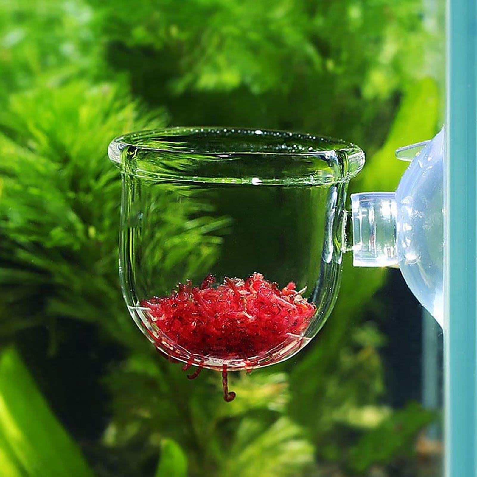 กระถางปลูกต้นไม้ตกแต่งตู้ปลา อ - Aquarium Plant Utensils บทวิจารณ์และราคา