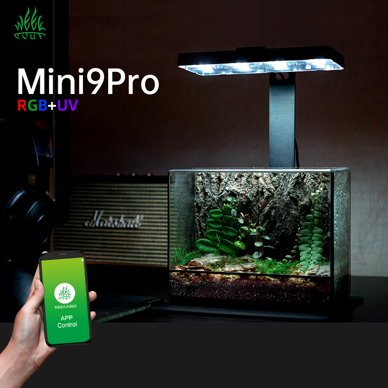 ไฟปลูกต้นไม้ในร่มแบบพกพา Mini9 - Planted Aquarium For Sale บทวิจารณ์และราคา