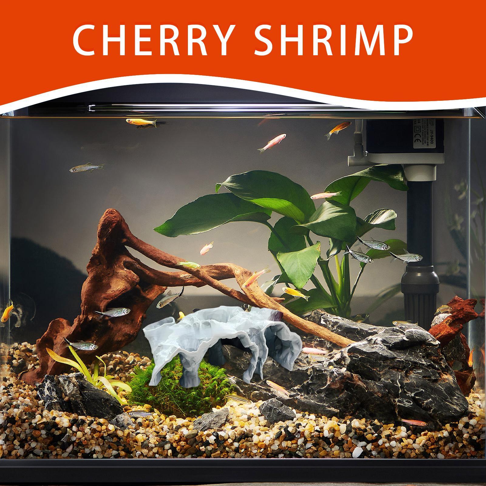 ถ้ำตกแต่งตู้ปลา ถ้ำใต้น้ำ สำหร - Planted Aquarium For Betta บทวิจารณ์และราคา