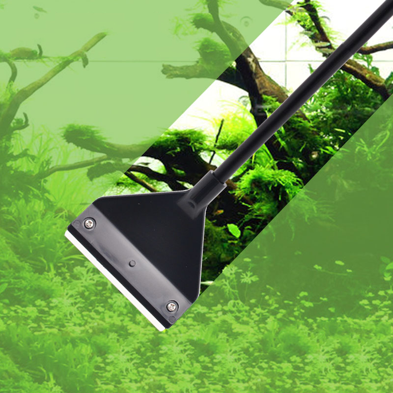 พิพิธภัณฑ์สัตว์น้ําสาหร่ายRemo - Aquarium Plant Utensils บทวิจารณ์และราคา
