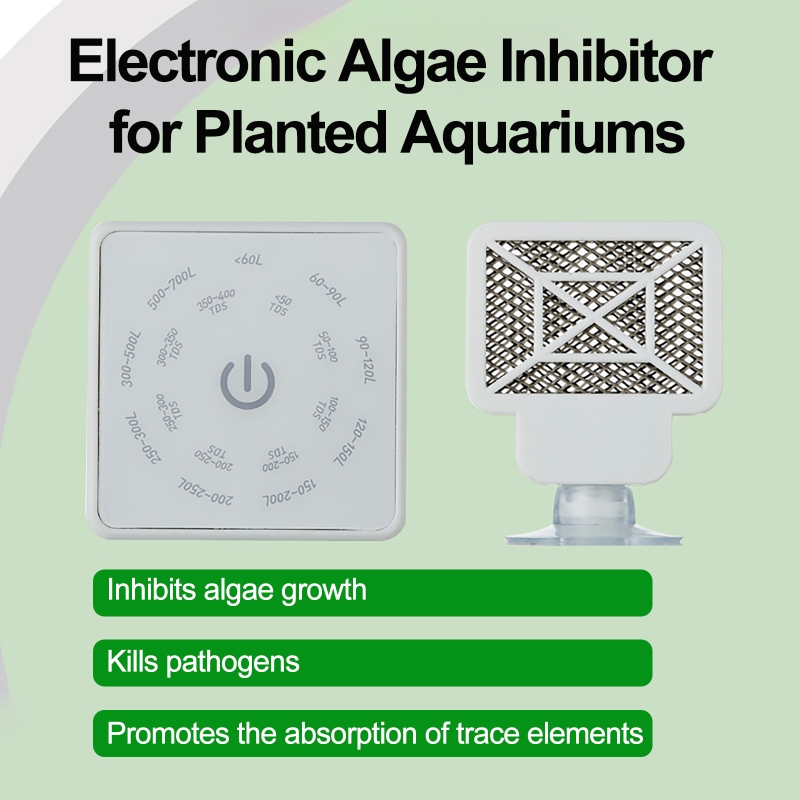 เครื่องมือทำความสะอาดตู้ปลาอิเ - Aquarium Plant Utensils บทวิจารณ์และราคา