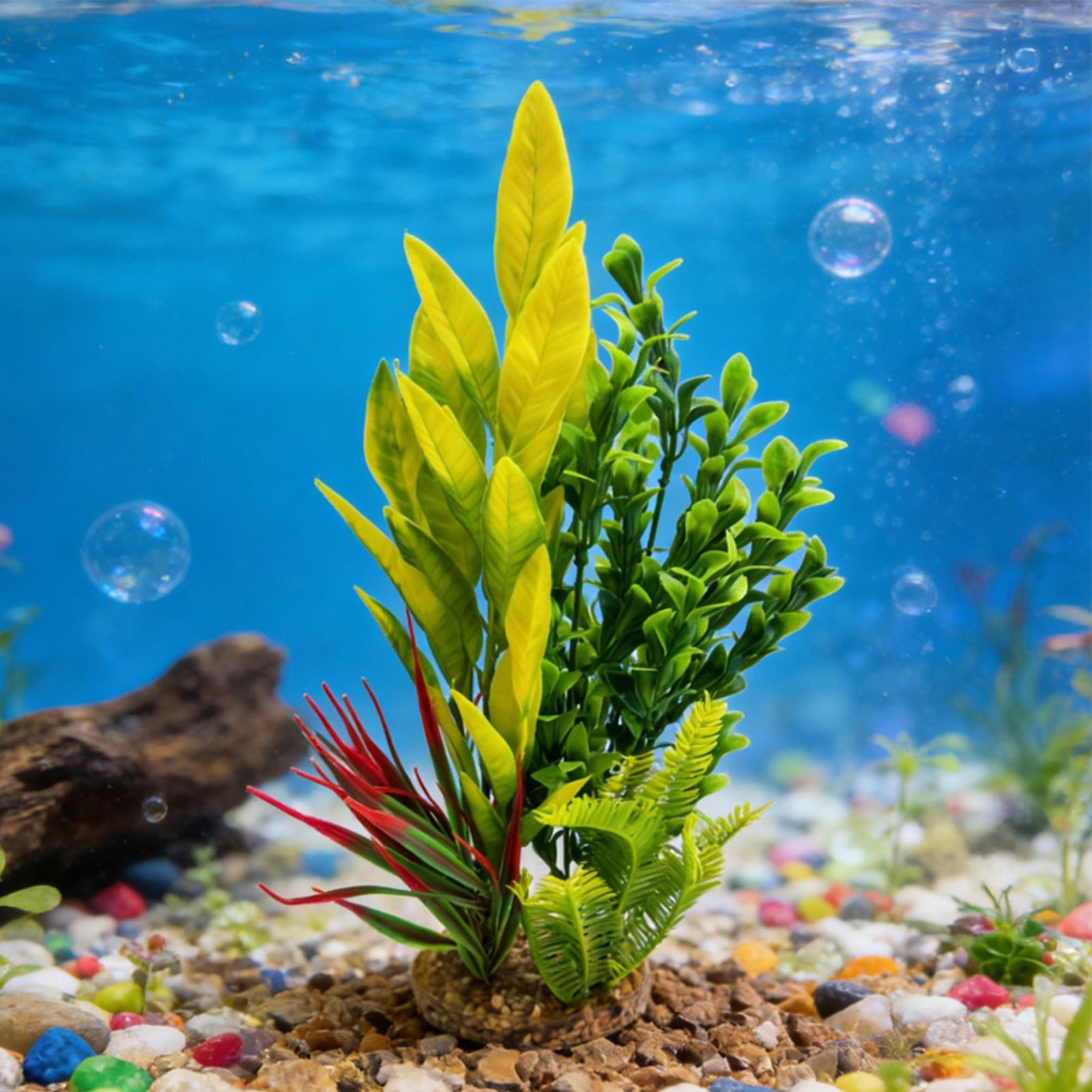 ต้นไม้ประดับตู้ปลา กุ้งปลอม ขอ - Planted Aquarium For Betta บทวิจารณ์และราคา