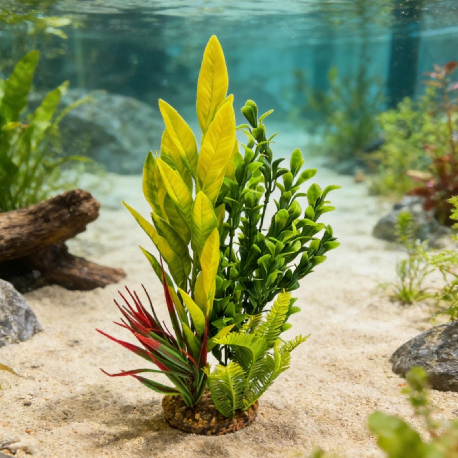 ต้นไม้ประดับตู้ปลา กุ้งปลอม ขอ - Planted Aquarium For Betta บทวิจารณ์และราคา
