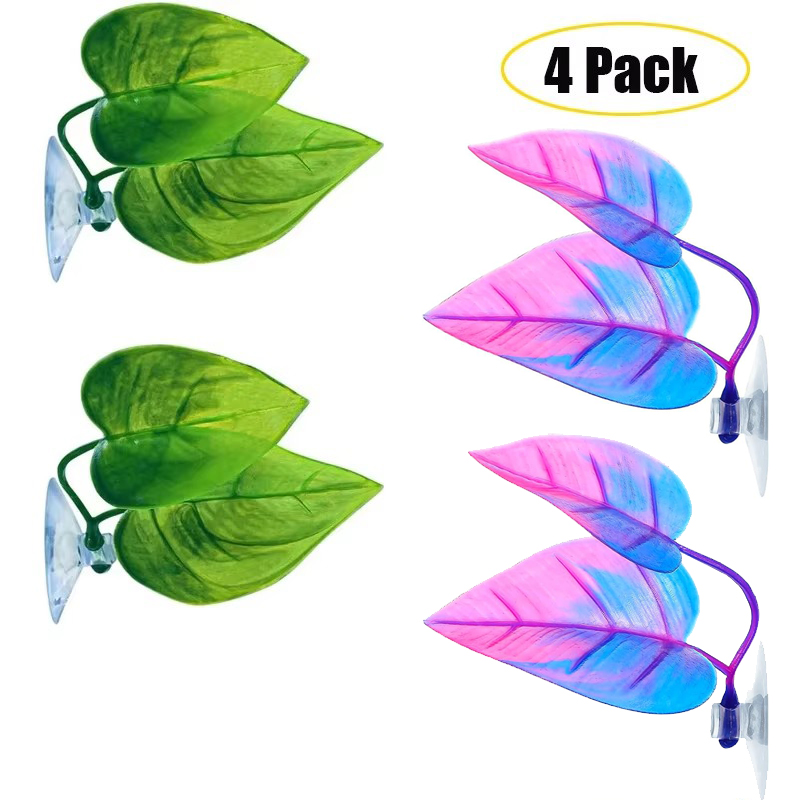 เปลญวนใบปลา Betta จําลองที่อยู - Planted Aquarium For Betta บทวิจารณ์และราคา