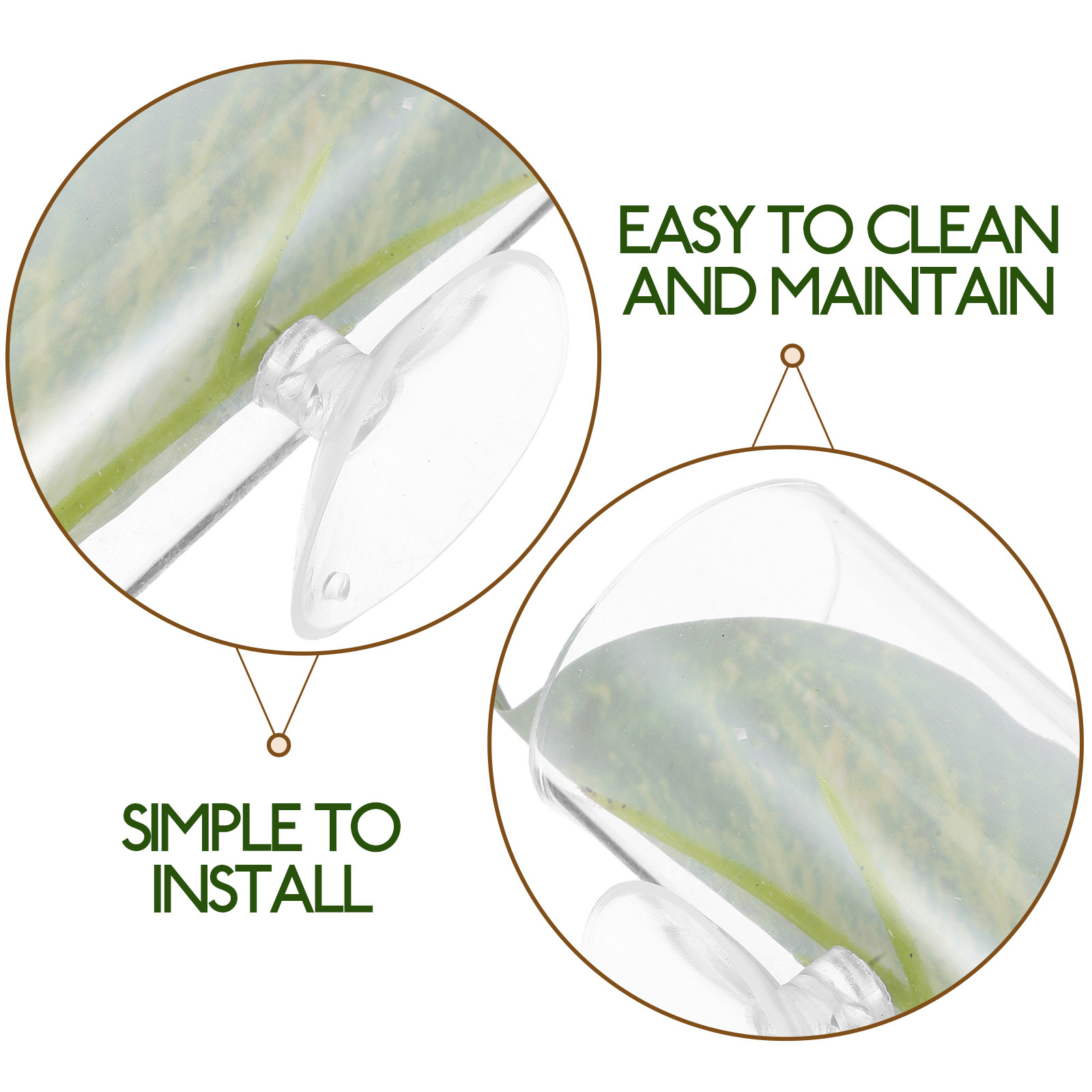 อุปกรณ์ตกแต่งตู้ปลาแบบอุโมงค์อ - Planted Aquarium For Betta บทวิจารณ์และราคา