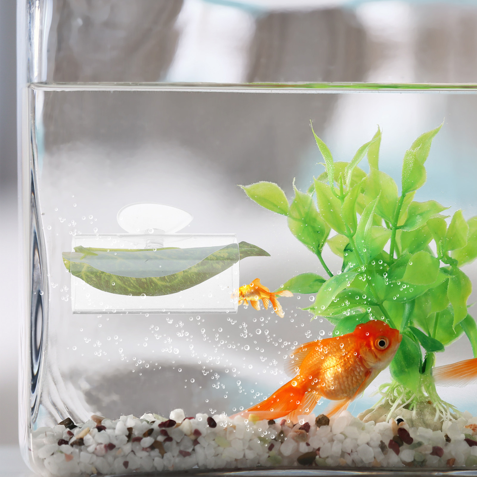 อุปกรณ์ตกแต่งตู้ปลาแบบอุโมงค์อ - Planted Aquarium For Betta บทวิจารณ์และราคา