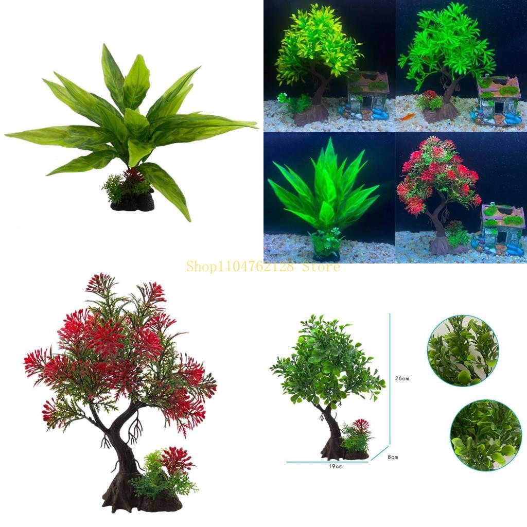 พิพิธภัณฑ์สัตว์น้ำพืชน้ำพลาสติ - Planted Aquarium For Sale บทวิจารณ์และราคา