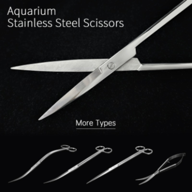 กรรไกรตัดแต่งพืชน้ำสแตนเลส Wee - Aquarium Plant Utensils บทวิจารณ์และราคา