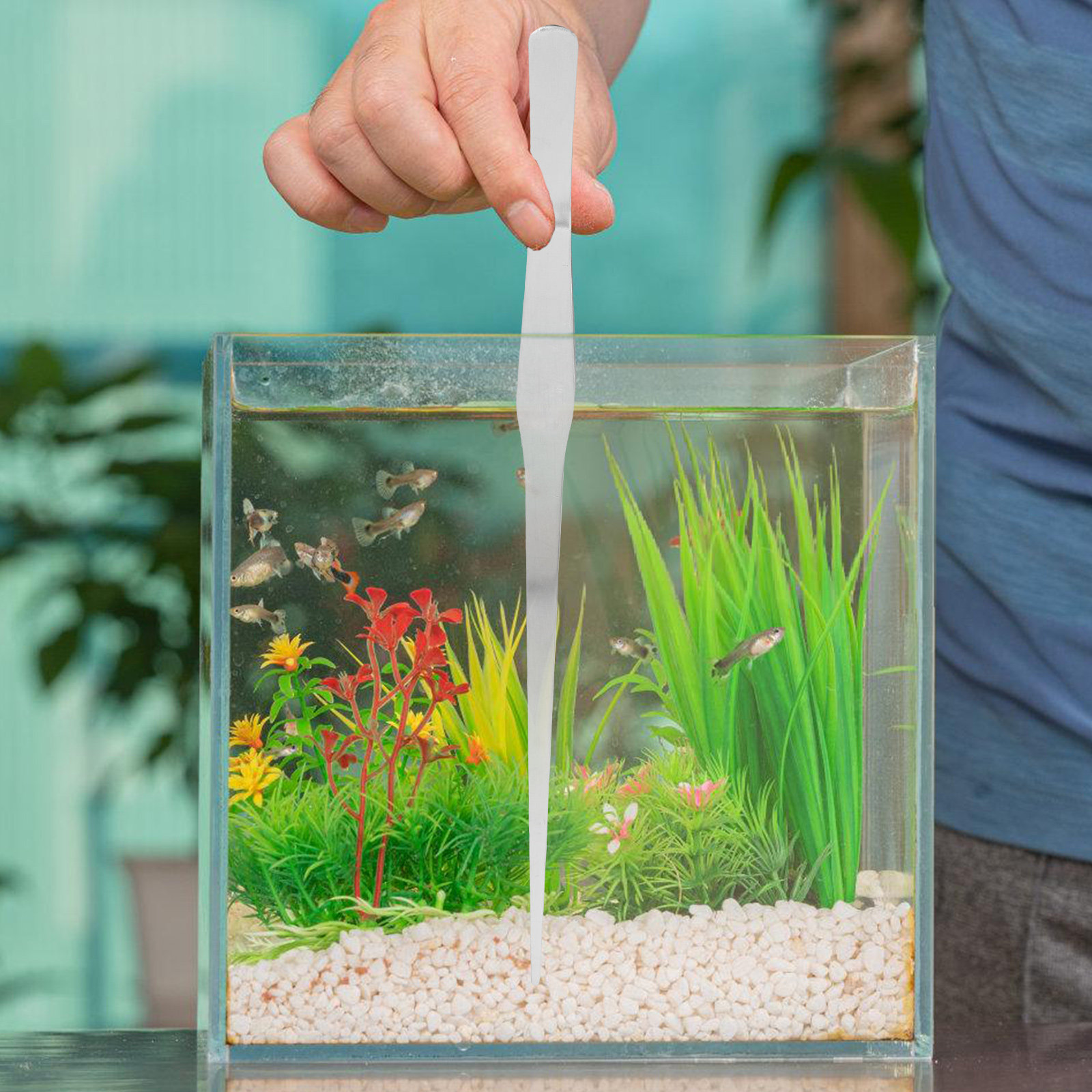 แหนบสำหรับตู้ปลา สแตนเลส 38 ซม - Planted Aquarium With Gravel บทวิจารณ์และราคา