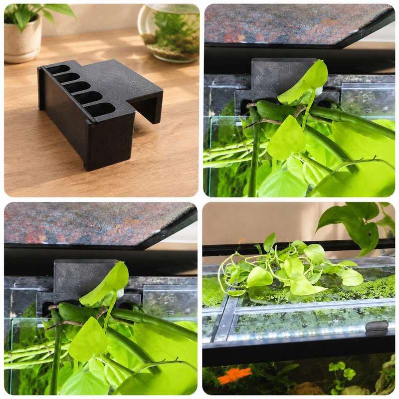 ที่ยึดต้นไม้ข้างตู้ปลา ชั้นวาง - Aquarium Plant Holder บทวิจารณ์และราคา