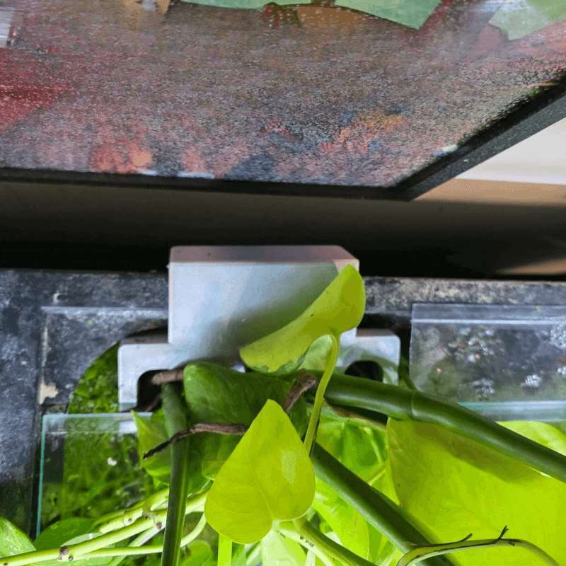ที่ยึดต้นไม้ข้างตู้ปลา ชั้นวาง - Aquarium Plant Holder บทวิจารณ์และราคา