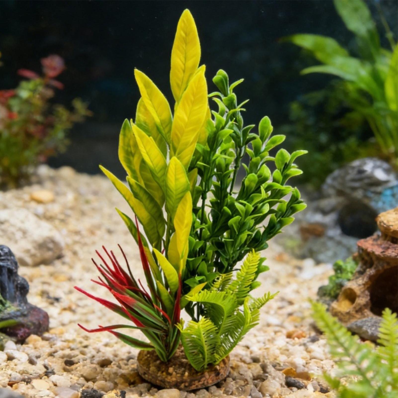 ต้นไม้ประดิษฐ์สำหรับตกแต่งตู้ป - Planted Aquarium For Betta บทวิจารณ์และราคา