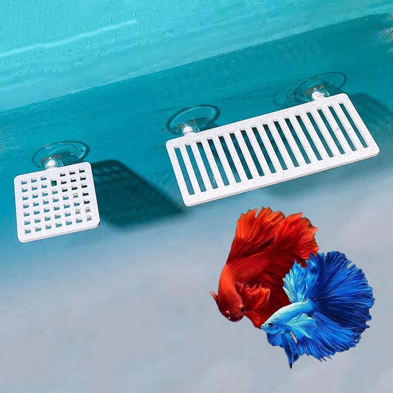 ตู้ปลาพลาสติก ตู้เลี้ยงปลาเบต้ - Planted Aquarium For Betta บทวิจารณ์และราคา