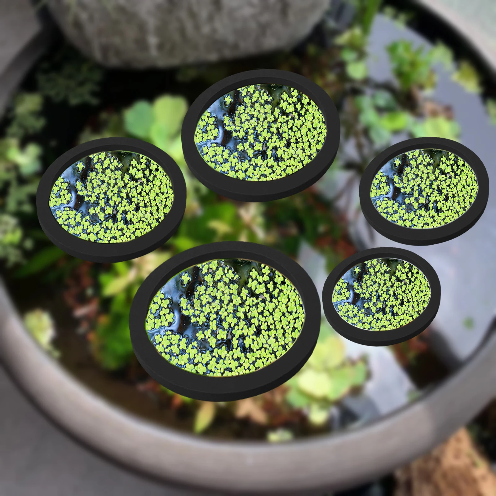 5 ชิ้น EVA ปลา Feeding แหวน Aq - Planted Aquarium With Fish บทวิจารณ์และราคา