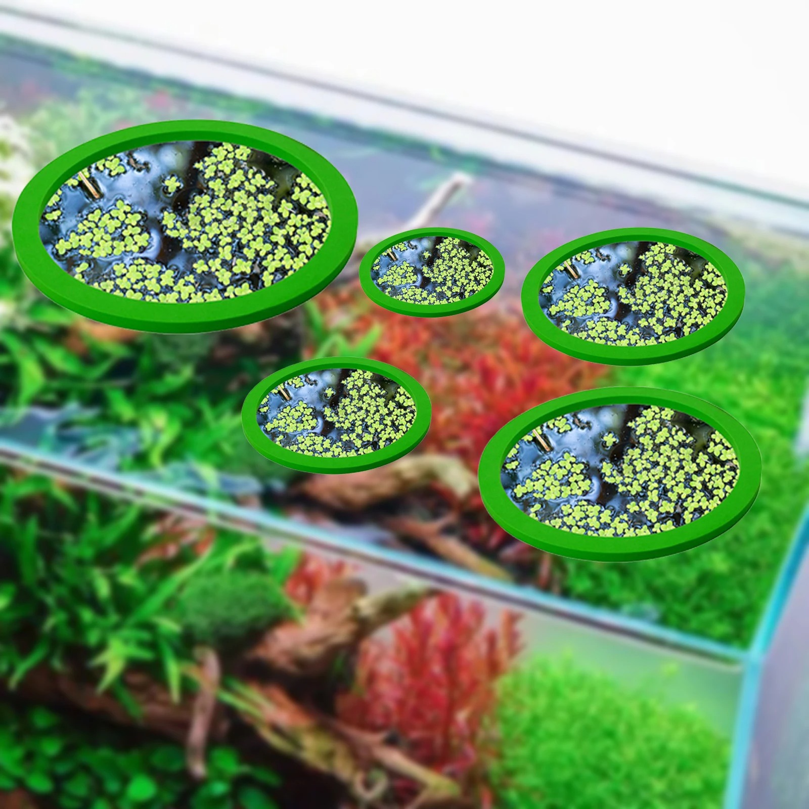 5 ชิ้น EVA ปลา Feeding แหวน Aq - Planted Aquarium With Fish บทวิจารณ์และราคา