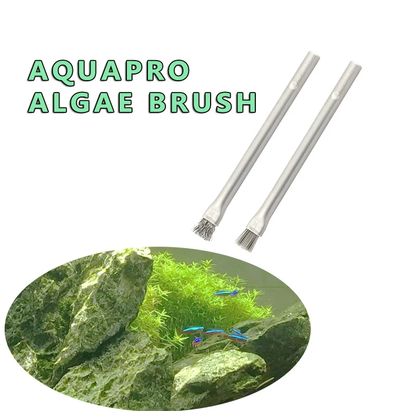 Aquapro Algae Brush แปรงทําควา - Aquarium Plant Utensils บทวิจารณ์และราคา