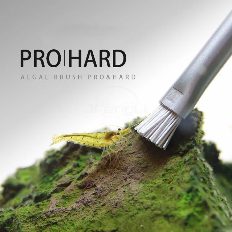 Aquapro Algae Brush แปรงทําควา - Aquarium Plant Utensils บทวิจารณ์และราคา