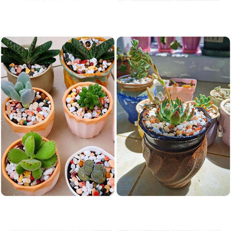 ทรายก้นตู้ปลา DIY อุปกรณ์เสริม - Planted Aquarium With Gravel บทวิจารณ์และราคา