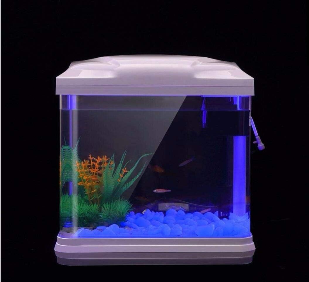 ถังปลา Rocks Glow Blue Pebbles - Planted Aquarium With Fish บทวิจารณ์และราคา
