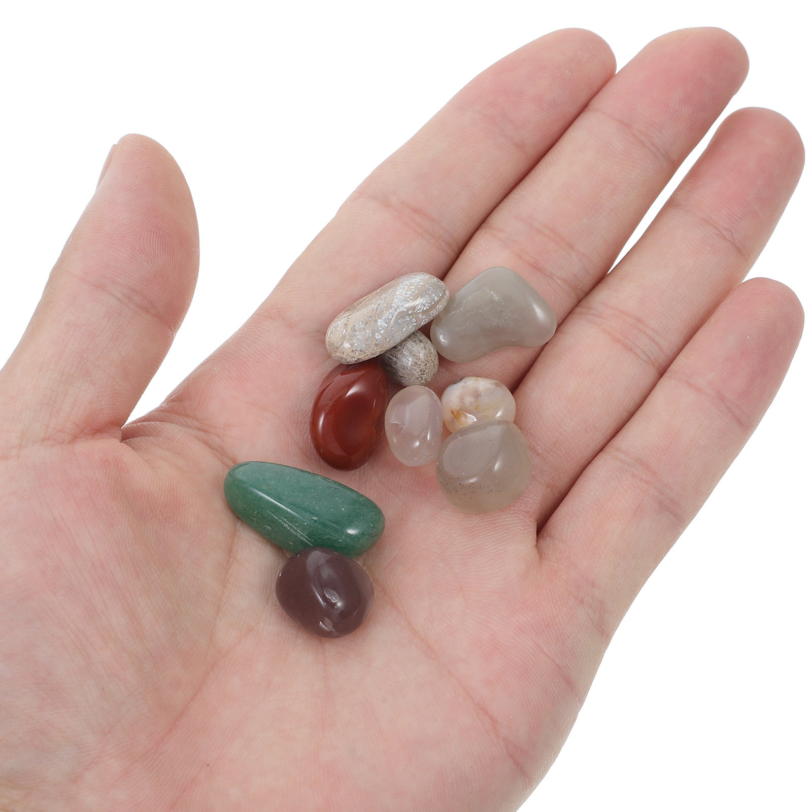 หินอาเกตหลากสี 100 กรัม จำนวน  - Planted Aquarium With Gravel บทวิจารณ์และราคา