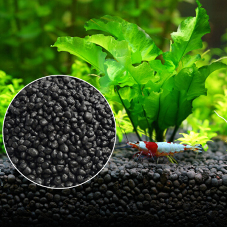 พิพิธภัณฑ์สัตว์น้ำเมล็ดพืชดิน  - Planted Aquarium With Fish บทวิจารณ์และราคา