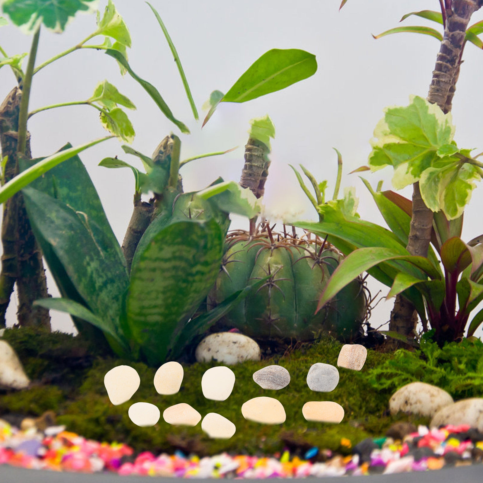 หินกรวดตกแต่งตู้ปลาและสวน หินธ - Planted Aquarium With Gravel บทวิจารณ์และราคา