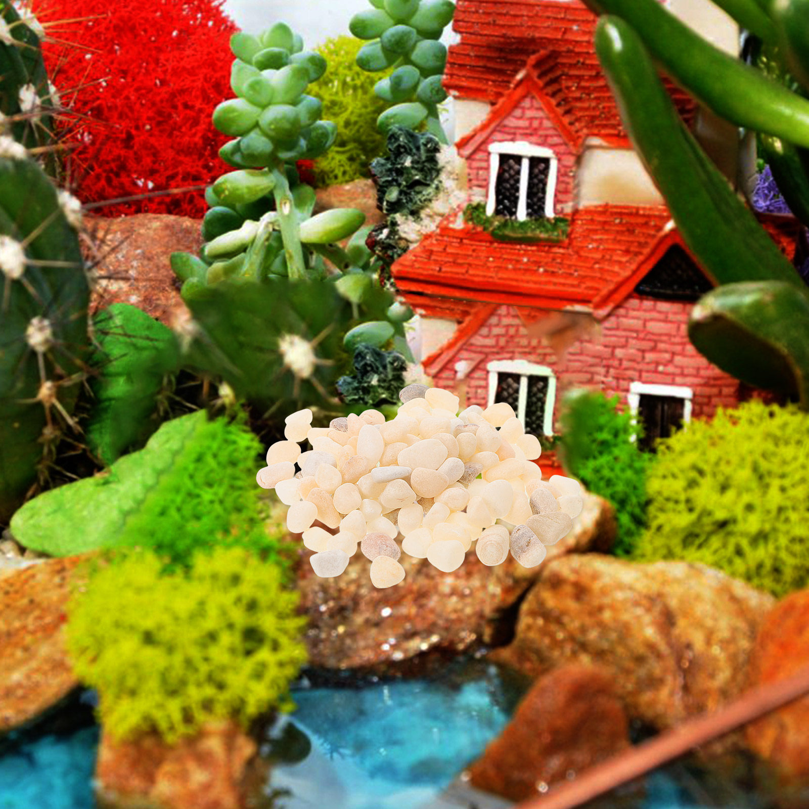 หินกรวดตกแต่งตู้ปลาและสวน หินธ - Planted Aquarium With Gravel บทวิจารณ์และราคา