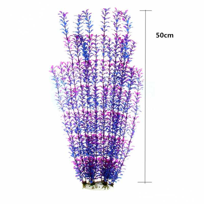 50 ซม.ถังปลาประดิษฐ์พืชหายากAq - Planted Aquarium With Fish บทวิจารณ์และราคา