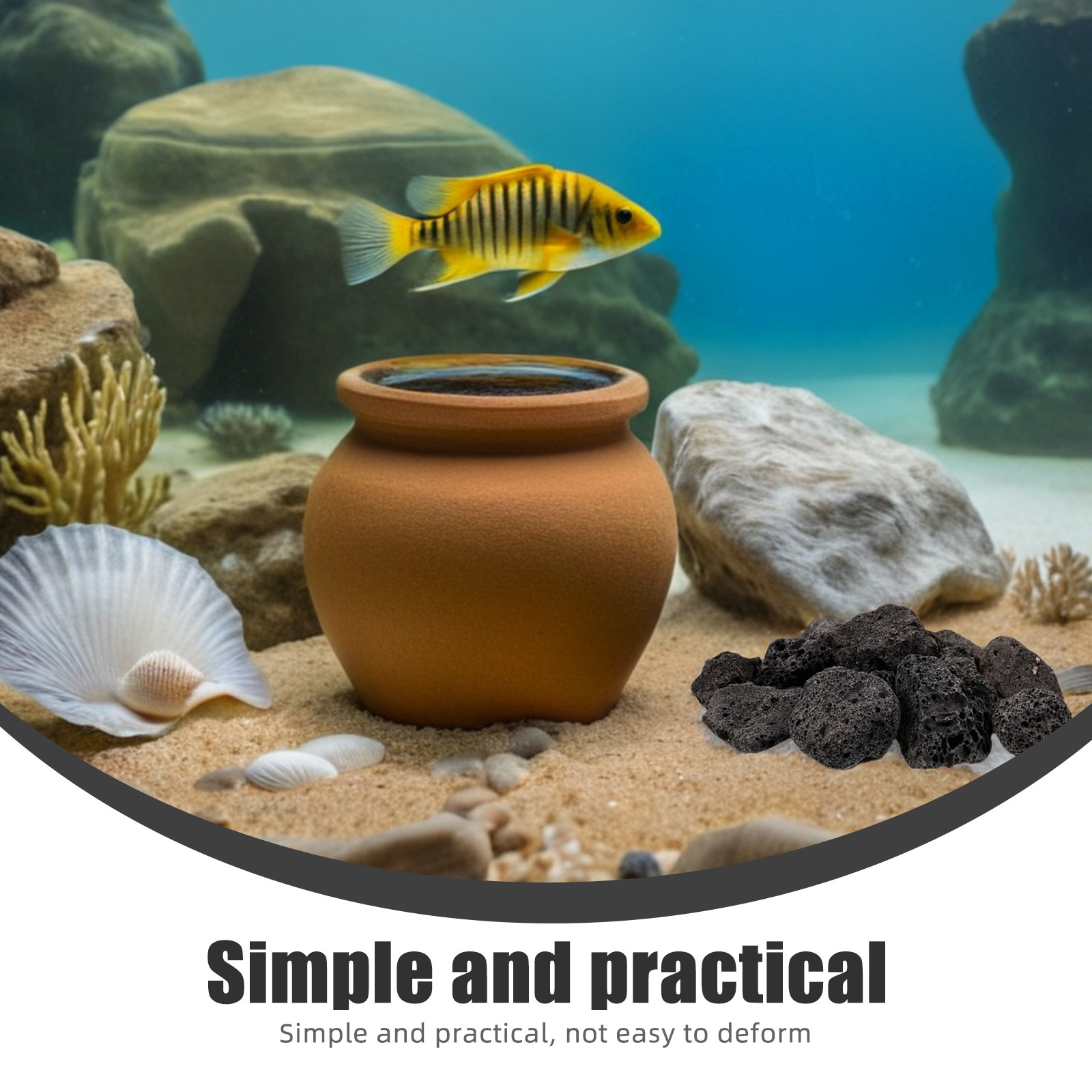 หินภูเขาไฟธรรมชาติ 1 แพ็ค ขนาด - Planted Aquarium With Fish บทวิจารณ์และราคา