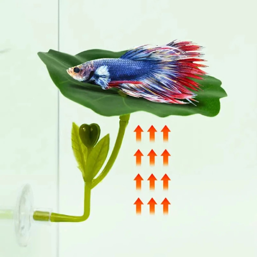 เปลนอนปลาเบตต้าใบไม้สีเขียว 1  - Planted Aquarium For Betta บทวิจารณ์และราคา