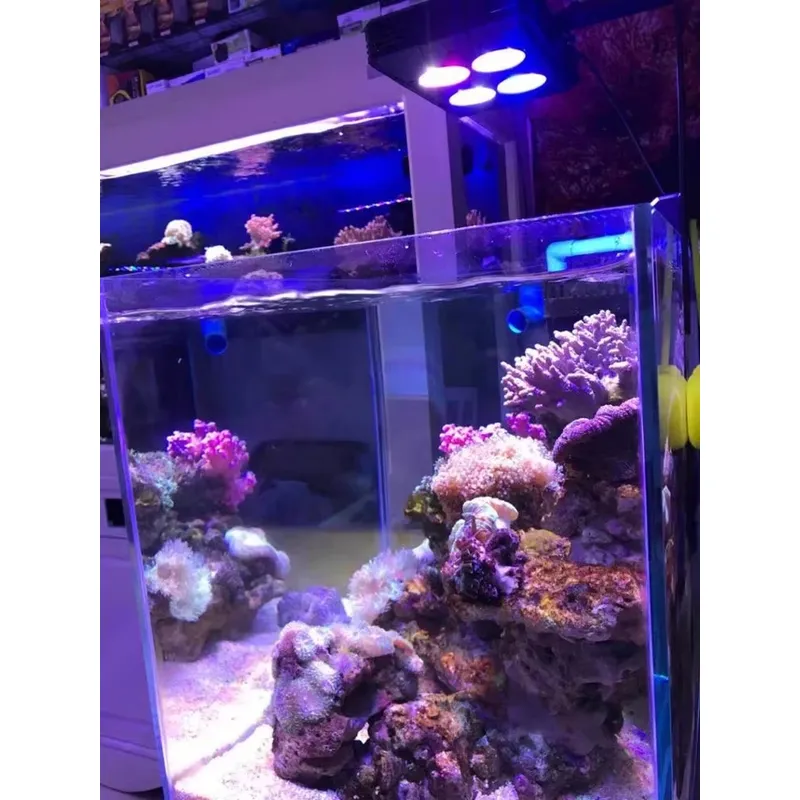 Gako A052 52w ไฟ LED สำหรับตู้ - Planted Aquarium For Sale บทวิจารณ์และราคา