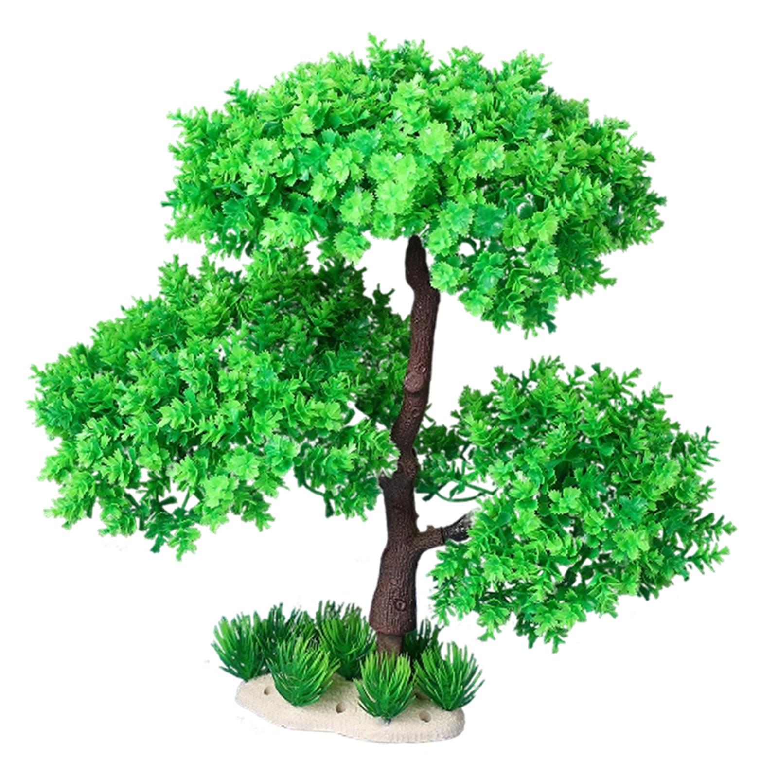 ต้นไม้ประดับตู้ปลาสำหรับน้ำจืด - Planted Aquarium Models บทวิจารณ์และราคา