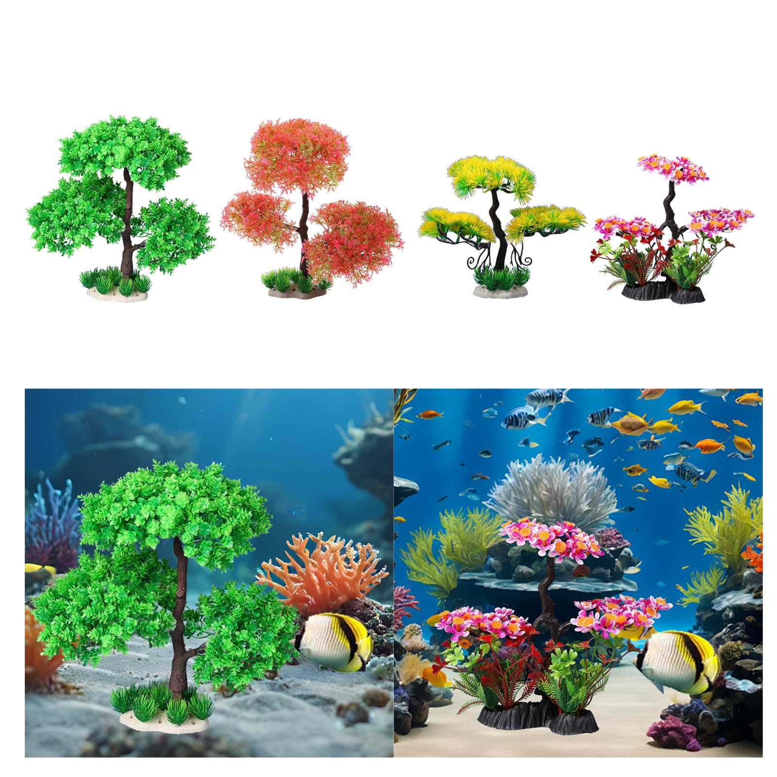 ต้นไม้ประดับตู้ปลาสำหรับน้ำจืด - Planted Aquarium Models บทวิจารณ์และราคา