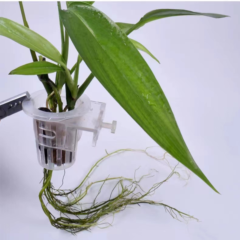 ตะกร้าปลูกตู้ปลาแบบไฮโดรโปนิกส - Aquarium Plant Holder บทวิจารณ์และราคา